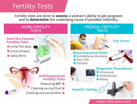fertility tests shecares