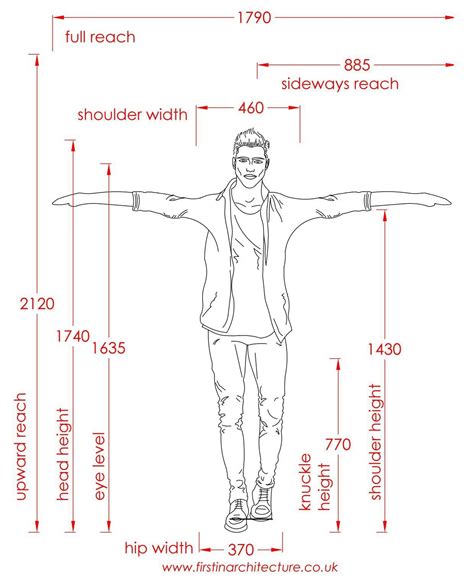 Metric Data 01 Average Dimensions Of Person Standing Dimensions