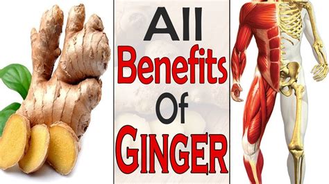 What Happens To Your Body If You Eat Ginger Every Day Health And Fitness Life Care YouTube
