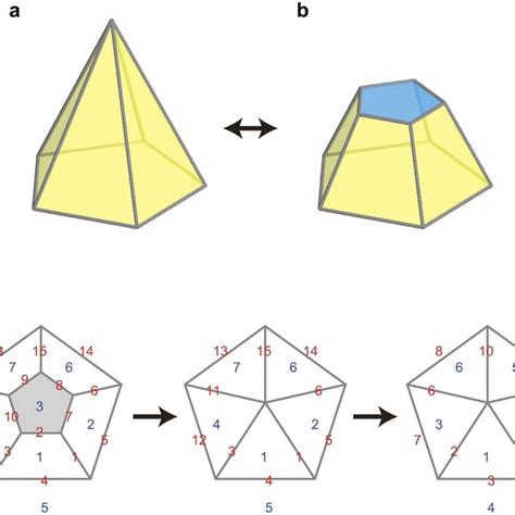 Non Simple Polyhedron A A Pentagonal Pyramid B The Simple