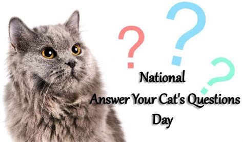 National Answer Your Cats Questions Day 2020 January 22