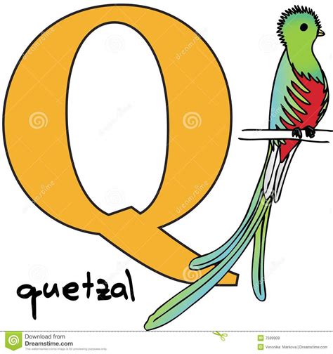 Alfabeto Animal Q Quetzal Ilustración Del Vector Ilustración De