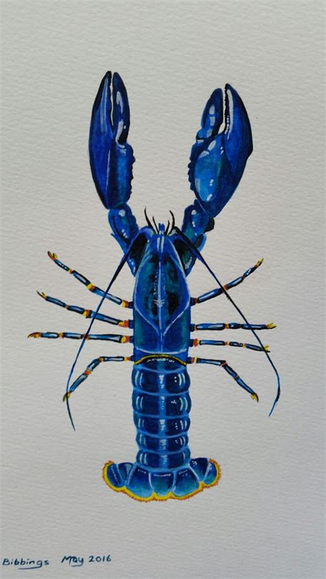 Original Watercolour Painting Lobster 2 Shop The Animal Artist