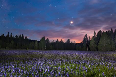 Sagehen Meadow At Night 1 Scott Shots Photography Truckee Lake Tahoe