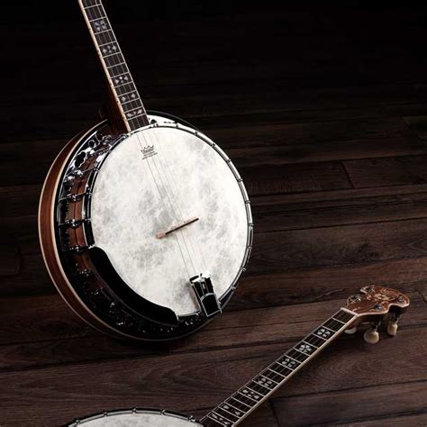 String Banjo Fret Tenor Tunings Barnes Mullins Folk