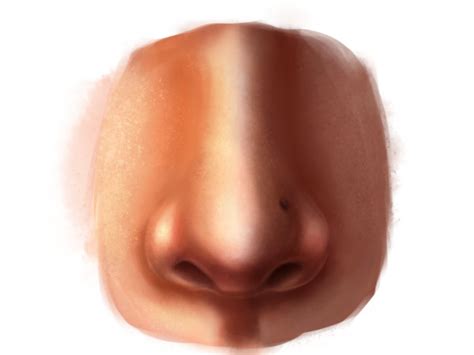 Drawing noses from the side. Learn How to Paint a Realistic Nose in Adobe Photoshop