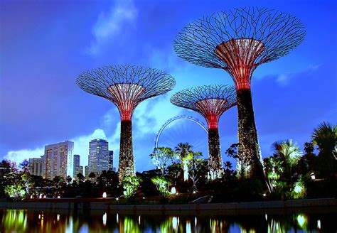 Hotels near popular singapore attractions. File:Supertree Grove, Gardens by the Bay, Singapore ...