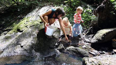 Nature Hikes For Kids In Westchester Putnam