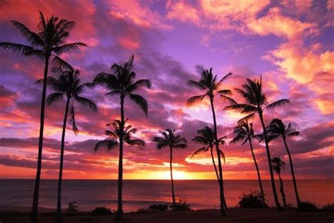 Hawaiian Sunset Hawaiian Sunset Tropical Sunset Wedding Sunset Wedding