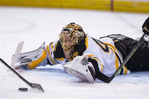Scientists Name Species Of Wasp After Tuukka Rask Toronto Sun