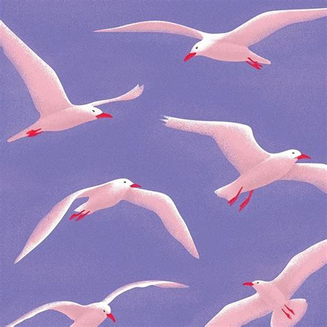 Pink Seagulls Because Why Not 🌊illustration Illustrator