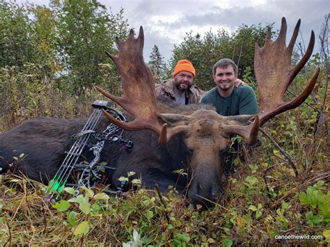 Maine Moose Bow Hunt Canoe The Wild