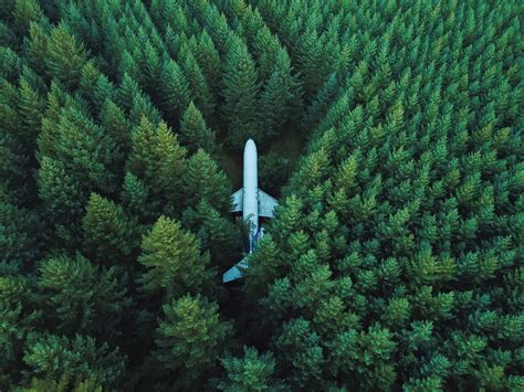 Plane In Middle Of Forest 4k Wallpaperhd Planes Wallpapers4k