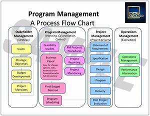 Program Project Management Plan Pmp Development Dcw Squared