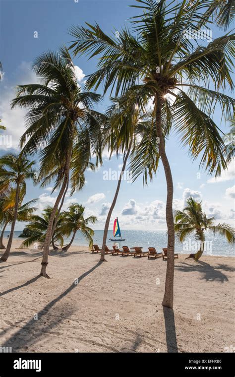Beach At The Moorings Village Resort Islamorada Florida Keys Florida