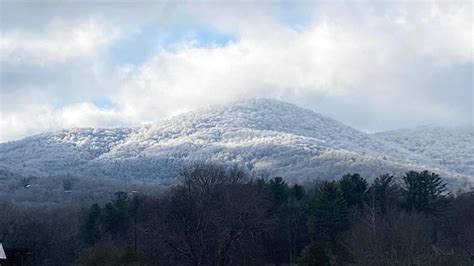 Photos Frozen Fog Blankets North Georgia In White Wsb Tv Channel 2