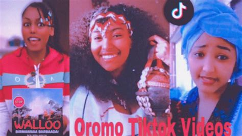 Sirba Afaan Oromoo Haaraa 2023 Best Oromo Tiktok Videos YouTube