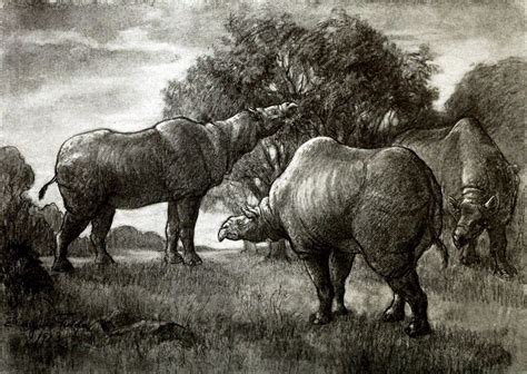 The Puzzles And Pitfalls Of Reconstructing The Largest Ever Land Mammal