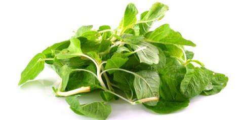 For more information and source, see on this link : Petua Merawat Kurap Secara Tradisional - Info | Inspirasi ...