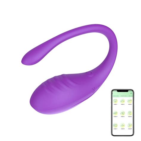 Birdsexy Wearable Panty Vibrator With App Remote Control G Spot Bullet