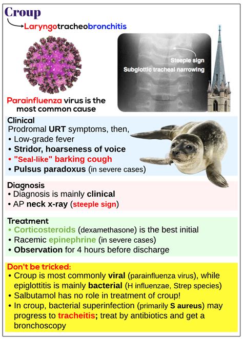 Croup Medicine Keys For Mrcps