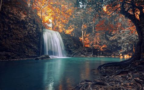 4560840 Nature Fall Tropical Landscape Roots Waterfall
