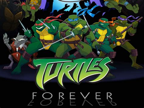 Teenage Mutant Ninja Turtles Forever Full Hd Wallpaper And Achtergrond