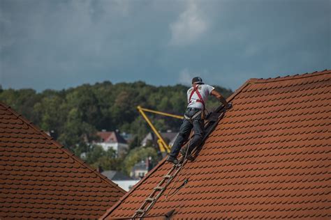 Essential Roof Maintenance Tips For Homeowners Davis Roofing Company