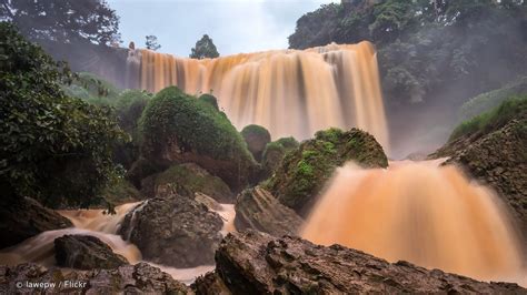 Best Time To Visit Dalat All Things You Should Know Tripjalan