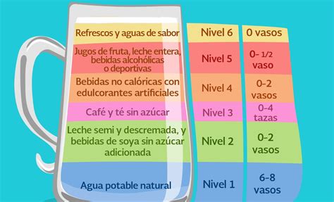 Jarra del Buen Beber qué es esta guía nutricional y sus beneficios