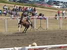 Loves Ranchlife and More: Home on the Range Rodeo Matched Invitational ...