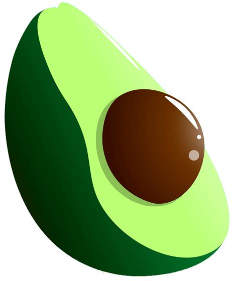 Vector Avocado Png Transparent Picture Png Mart