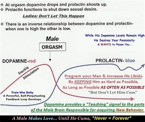 Cum For The Dopamine