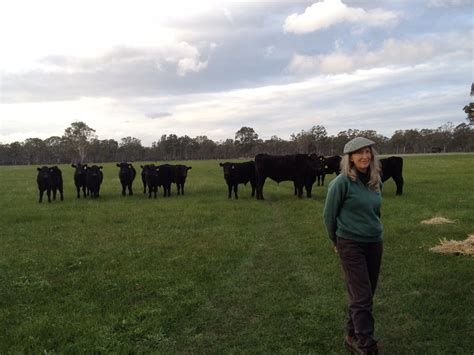 Amazing Wagyu From The Paddock To The Plate Rural Organics