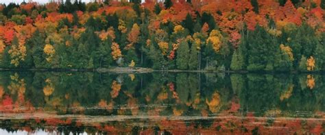 Fall Foliage In Canada An Explorers Guide Yervana