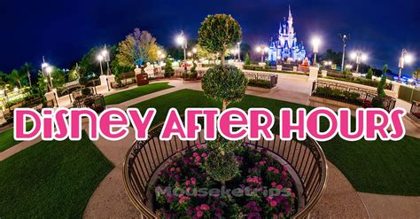 Disney After Hours Animal Kingdom And Hollywood Studios Hollywood