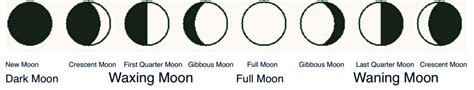 Moon Phases Clipart 20 Free Cliparts Download Images On Clipground 2023