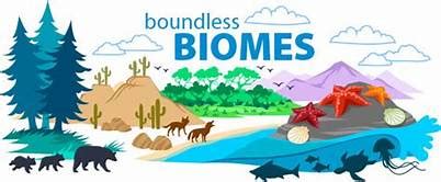 Biomes Environment Quizizz
