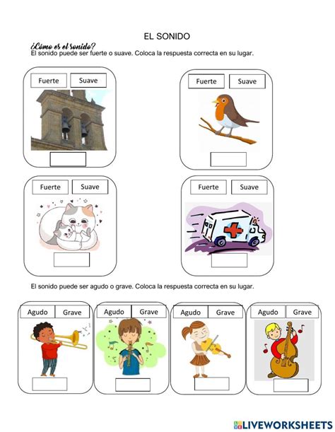 Actividad Online De Cualidades Del Sonido Para 2o Puedes Hacer Los E