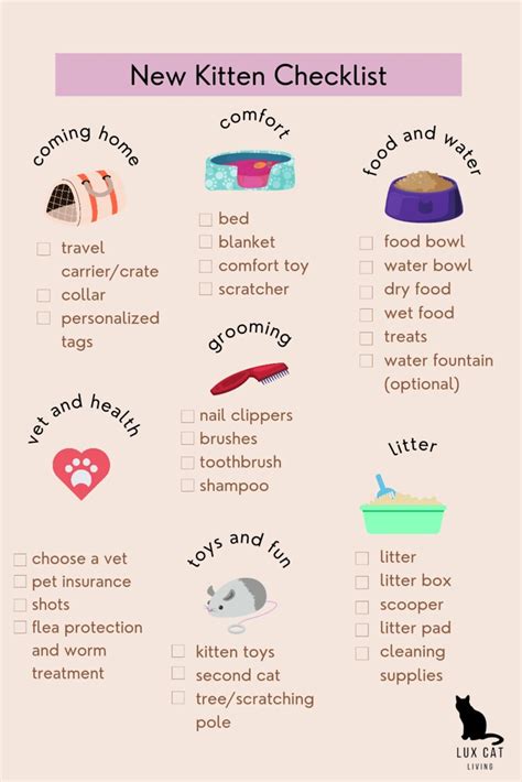 New Kitten Checklist Infographic With Checklist And What T Flickr