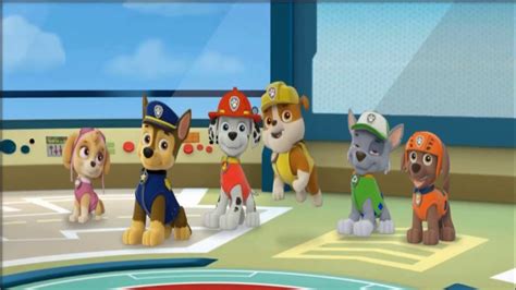 Pups Save The Day Online Game I Paw Patrol Full Episodes Youtube