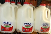 File:Milk jugs in a row.jpg - Wikimedia Commons