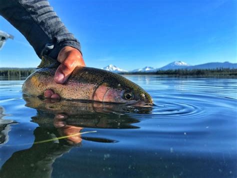 5 Great Spots For Trout Fishing In Central Oregon
