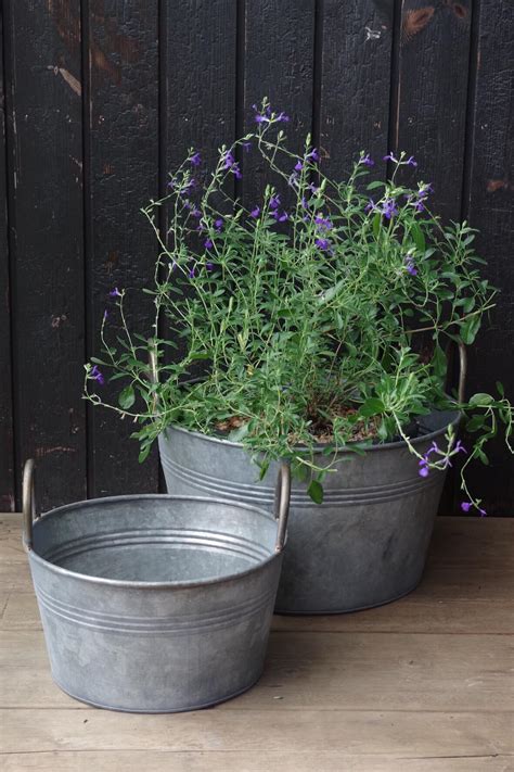 Galvanised Bucket Planters Set Of 2 Vincent And Barn