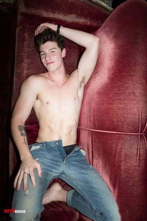 Male Celeb Shawn Mendes Naked Dick Pics Got Leaked
