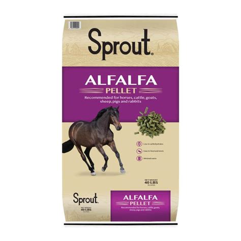 Sprout Alfalfa Pellets For Horses Cattle Goats Sheep Pigs And Rabbits