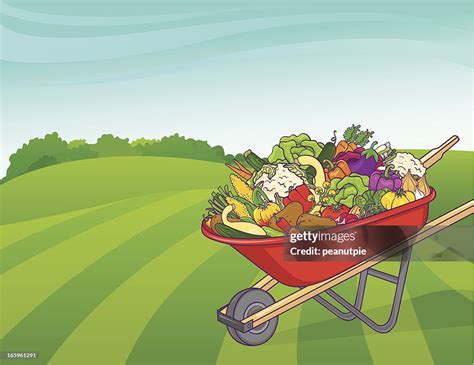 Wheelbarrow Vegetable Background High Res Vector Graphic Getty Images