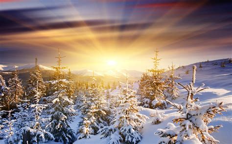 壁纸 2560x1600像素 云彩 山 射线 天空 雪 太阳 日出 冬季 2560x1600