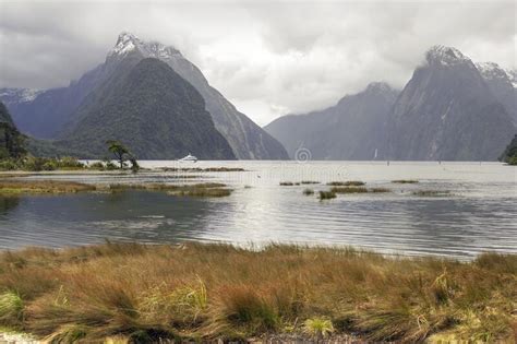 Milford Sound In New Zealand Stock Image Image Of Range Park 217055073