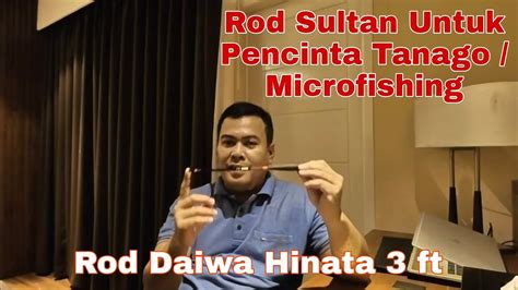 Joran Sultan Daiwa Hinata 3 Ft Buat Microfishing Tanago YouTube